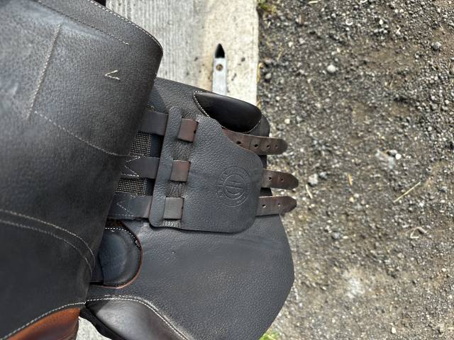 Sella da salto ostacoli Arion saut  17.5" - 2024