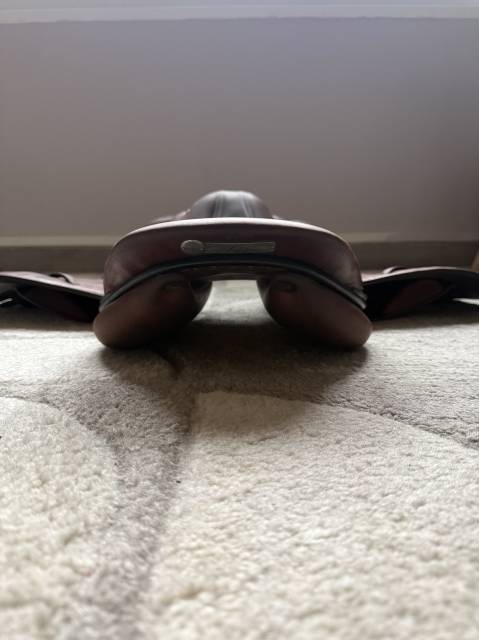 Sella da salto ostacoli Butet  17.5" - 2017