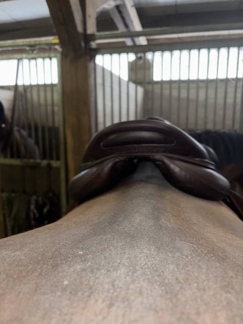 Sella da salto ostacoli Devoucoux  17" - 2017