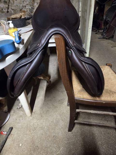 Sella da salto ostacoli Equipe  17.5" - 2021