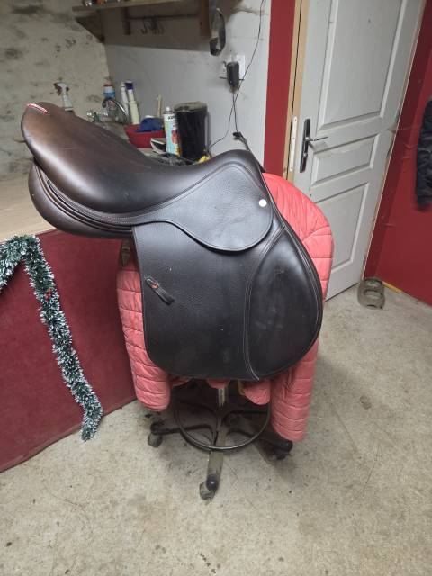 Sella da salto ostacoli Equipe  17.5" - 2021