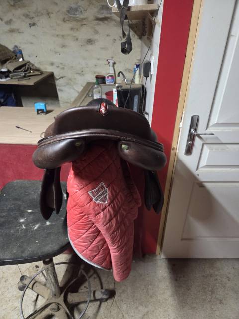 Sella da salto ostacoli Equipe  17.5" - 2021