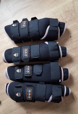  F&eacute;lix B&uuml;hler Occasione