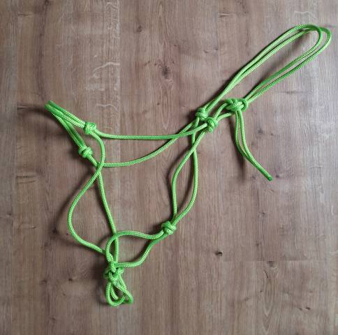  Horse and ropes Occasione