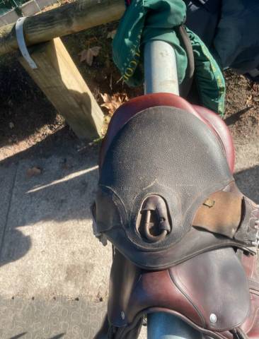 Sella mista Devoucoux  17" - 2020