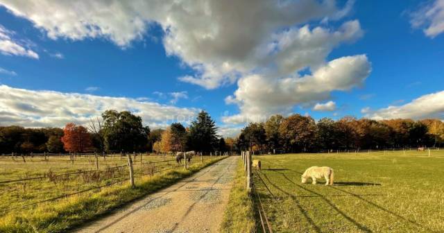 Propriet&agrave; equestre In vendita Yvelines