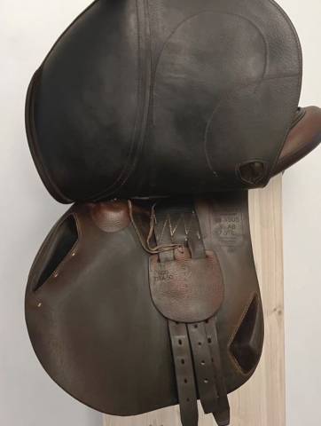 Sella da salto ostacoli Antar&egrave;s  17.5" - 2018