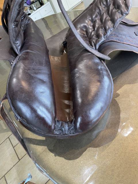 Sella amazzone   19" - 2005