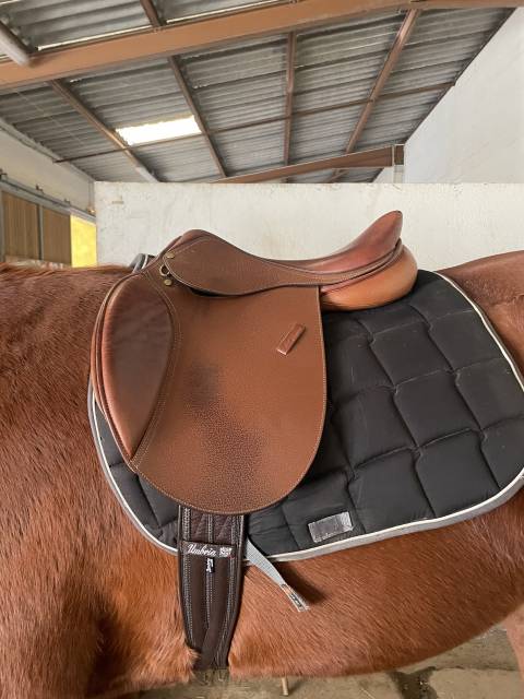 Sella mista Eric Thomas  17.5" - 2020