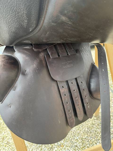 Sella da salto Barnsby