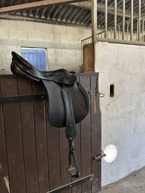 Sella mista Forestier Ancien mod&egrave;le  16.5" - 2000