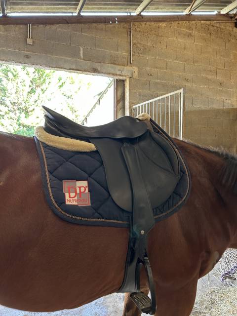 Sella mista Forestier Ancien mod&egrave;le  16.5" - 2000