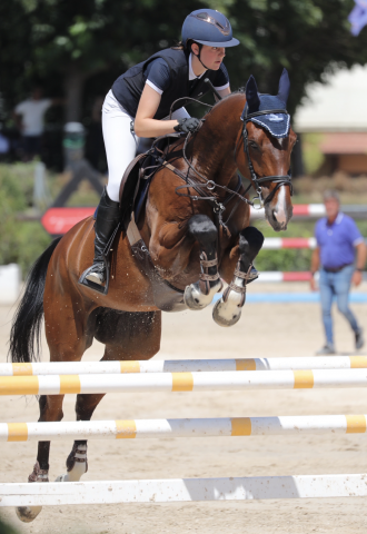 Willi, cavallo di 10 anni tedesco per gare primo grado