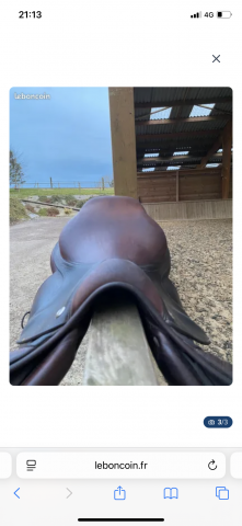 Sella da salto ostacoli CWD  17.5" - 2019