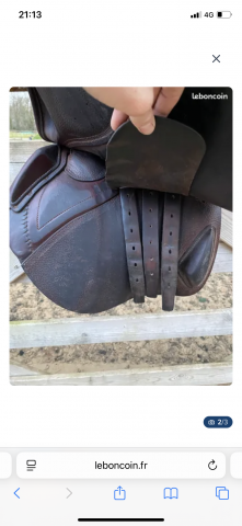 Sella da salto ostacoli CWD  17.5" - 2019