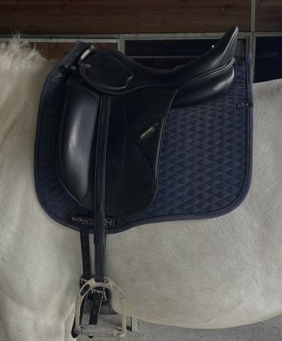 Sella da dressage Amerigo Pasubio pinerolo 17" - 2021