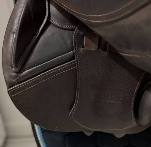 Sella da salto ostacoli GBS  16.5" - 2019