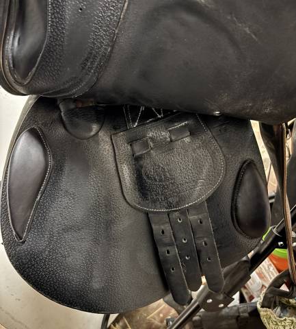 Sella mista Herv&eacute; Godignon  17.5" - 2021