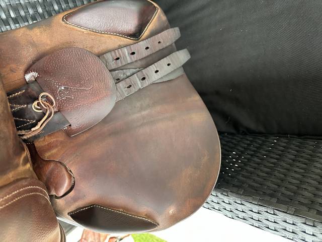 Sella da salto ostacoli Antar&egrave;s  17.5" - 2022