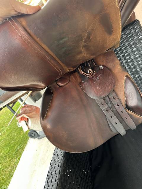 Sella da salto ostacoli Antar&egrave;s  17.5" - 2022