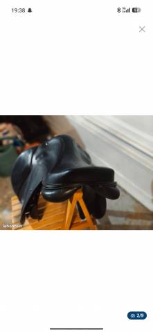 Sella mista Ikonic  18" - 2018