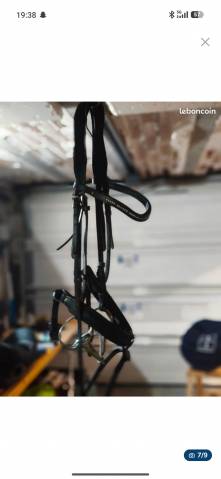 Sella mista Ikonic  18" - 2018