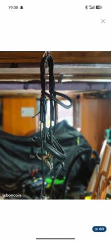 Sella mista Ikonic  18" - 2018