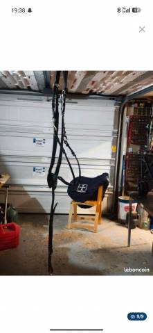 Sella mista Ikonic  18" - 2018