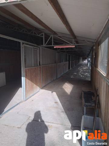 Propriet&agrave; equestre Noleggio Tarragone