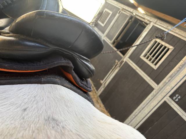 Sella da dressage  Equipro 17" - 2012