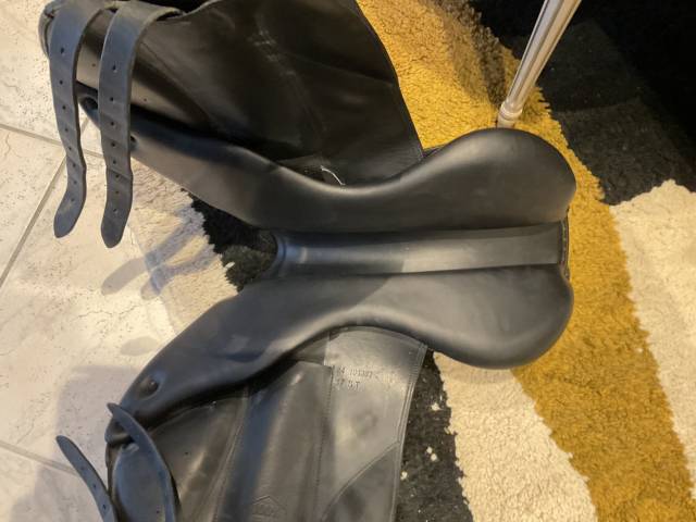 Sella da cross Forestier  17" - 2019