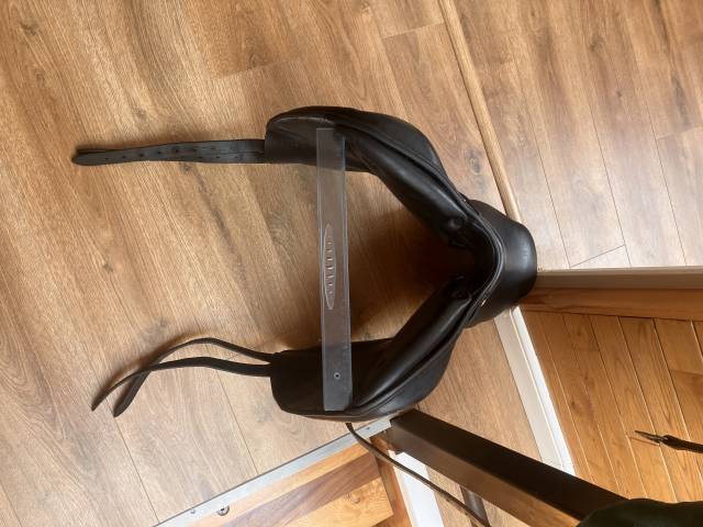 Sella da cross Forestier  17" - 2019