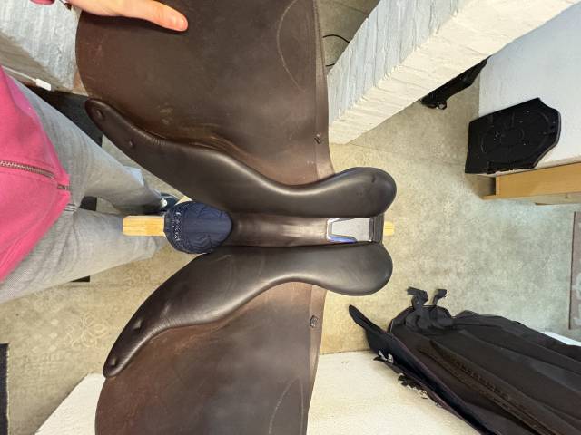 Sella da salto ostacoli Prestige Italia  17" - 2023