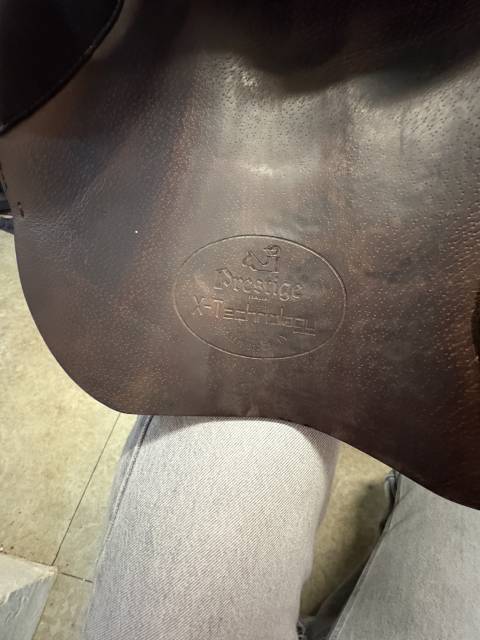 Sella da salto ostacoli Prestige Italia  17" - 2023