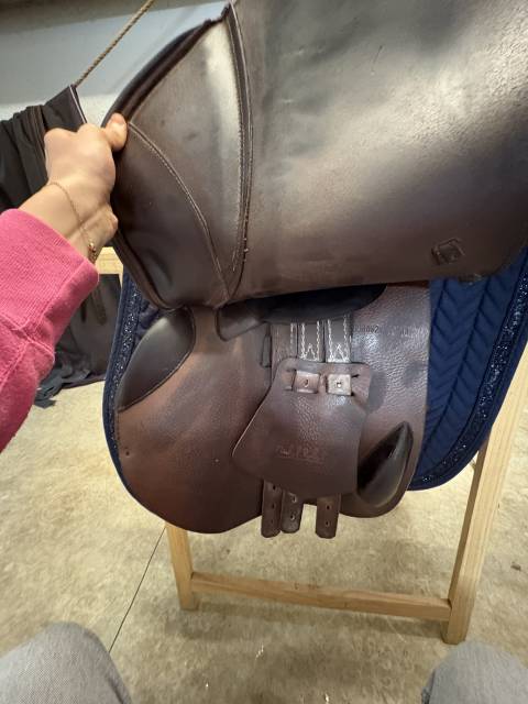 Sella da salto ostacoli Prestige Italia  17" - 2023