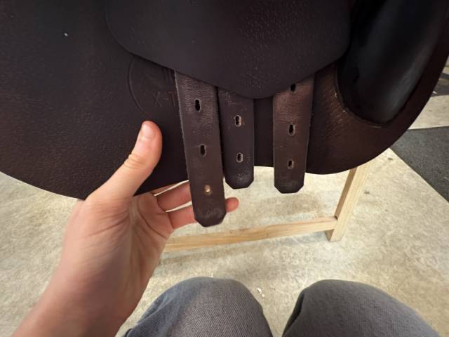 Sella da salto ostacoli Prestige Italia  17" - 2023