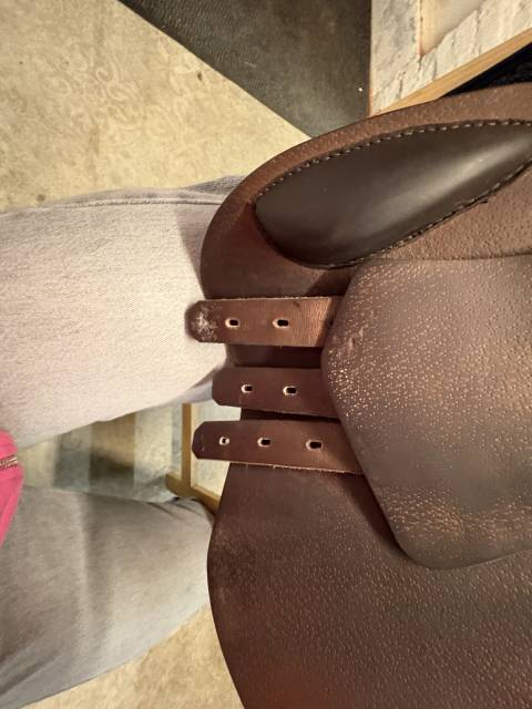 Sella da salto ostacoli Prestige Italia  17" - 2023