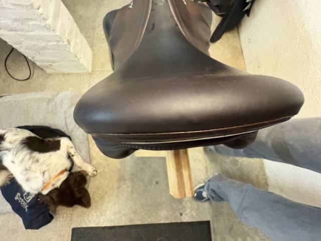 Sella da salto ostacoli Prestige Italia  17" - 2023