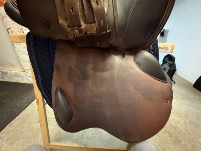 Sella da salto ostacoli Prestige Italia  17" - 2023