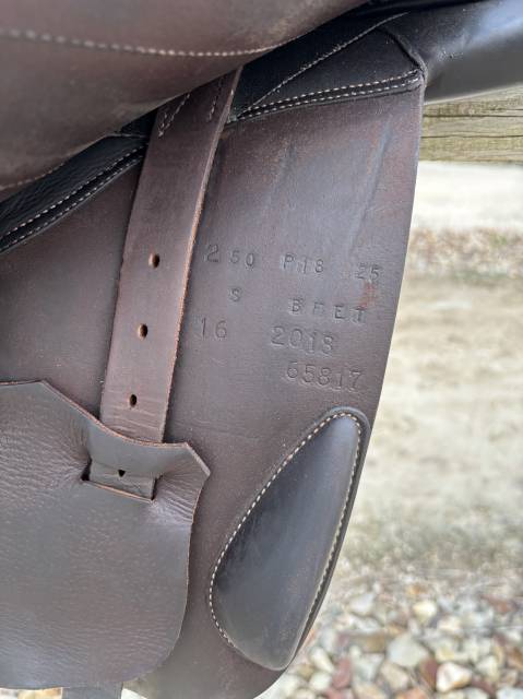 Sella da salto ostacoli Butet  18" - 2016