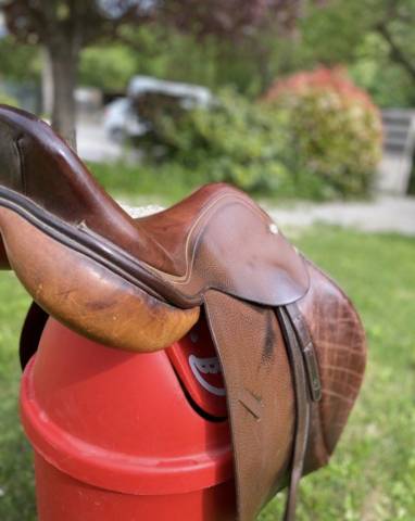 Altra sella Terrys Quality Saddlery 16" - 2022