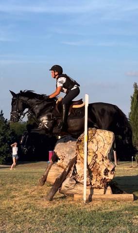 Pony da completo e salto ostacoli