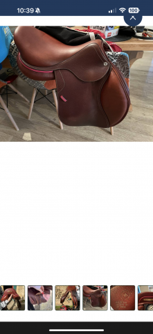 Sella mista CWD  18" - 2022