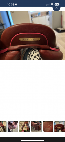 Sella mista CWD  18" - 2022