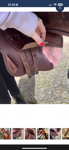 Sella mista CWD  18" - 2022