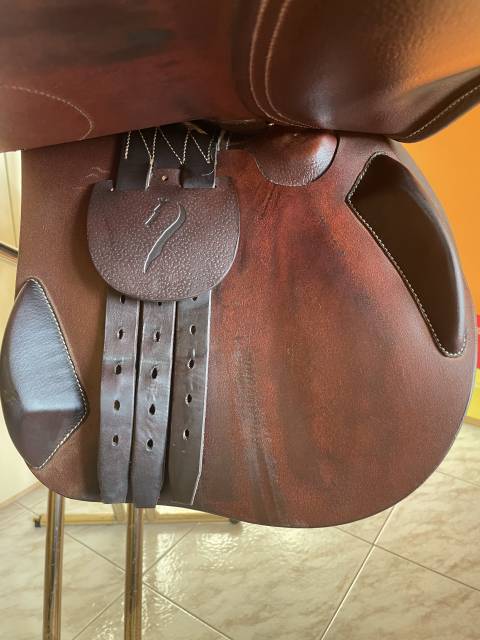 Sella da salto Antares connexion 17.5