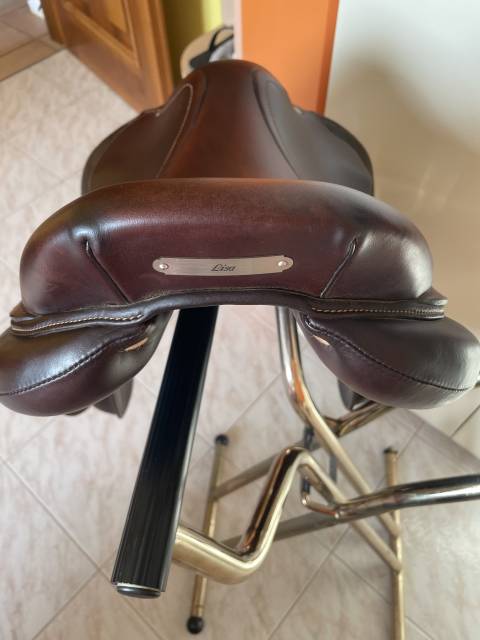 Sella da salto Antares connexion 17.5