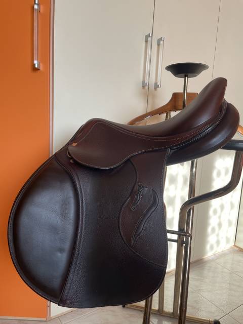 Sella da salto Antares connexion 17.5