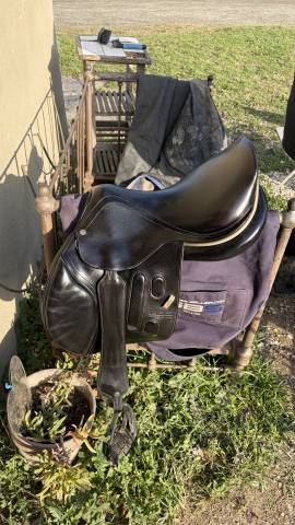 Sella mista GBS  17" - 2016