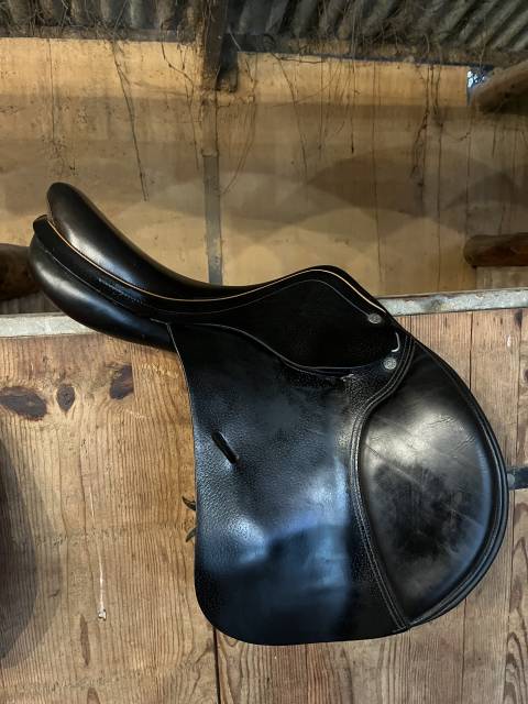 Sella Junior / Sella Pony Equipe  15.5" - 2014